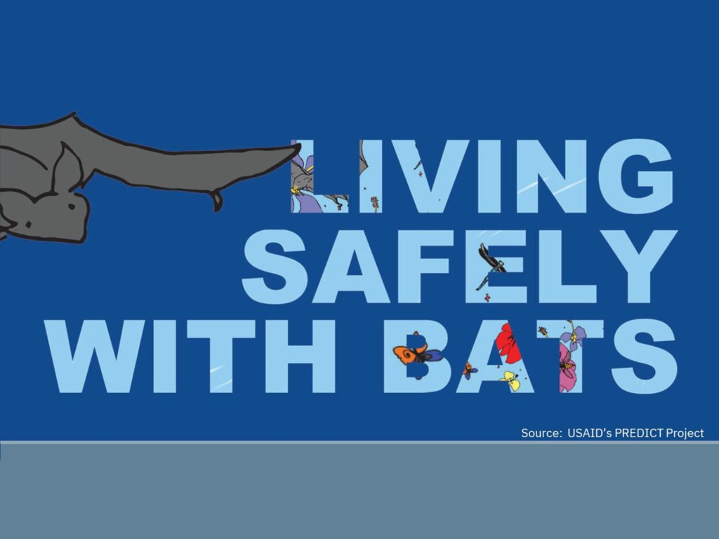 Communicating Human-Animal Interaction Risks in Guinea, Africa